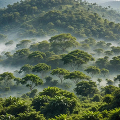 Café Arabica Tosepan de la forêt tropicale du Mexique 500 g