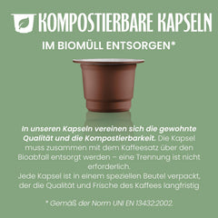 Caffè Vergnano 1882 - Èspresso Kompostierbare Kaffeekapseln , Kompatible Mit Nespresso, Intenso (Intensiv) - Packung Enthält 100 Kapseln
