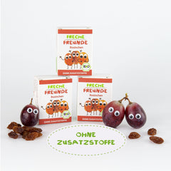 FRECHE FREUNDE Raisins secs biologiques, trockenfrüchte ohne Zucker, sans Zusatzstoffe, ungeschwefelt, dans de petites boîtes à collations, Sultaninen für Kinder, 20er Pack, 20 x (3x14g)