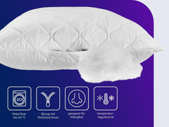 Oreiller Traumnacht à l'aloe vera avec housse confortable en microfibre douce et velours, 40X80 cm, certifié Oeko-Tex, produit selon la norme de qualité allemande Oreillers standard Naty Shop