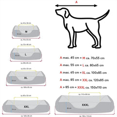 Paturi, animale de companie, câini, locuri de dormit și mobilier
