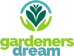 Rêve des jardiniers : 4 vraies plantes de Tillandsia - 4 vraies plantes d'air de Tillandsia - Plantes de terrarium - Plantes de terrarium décoratives - Plantes d'intérieur purificatrices d'air - Plantes décoratives - Plantes réelles