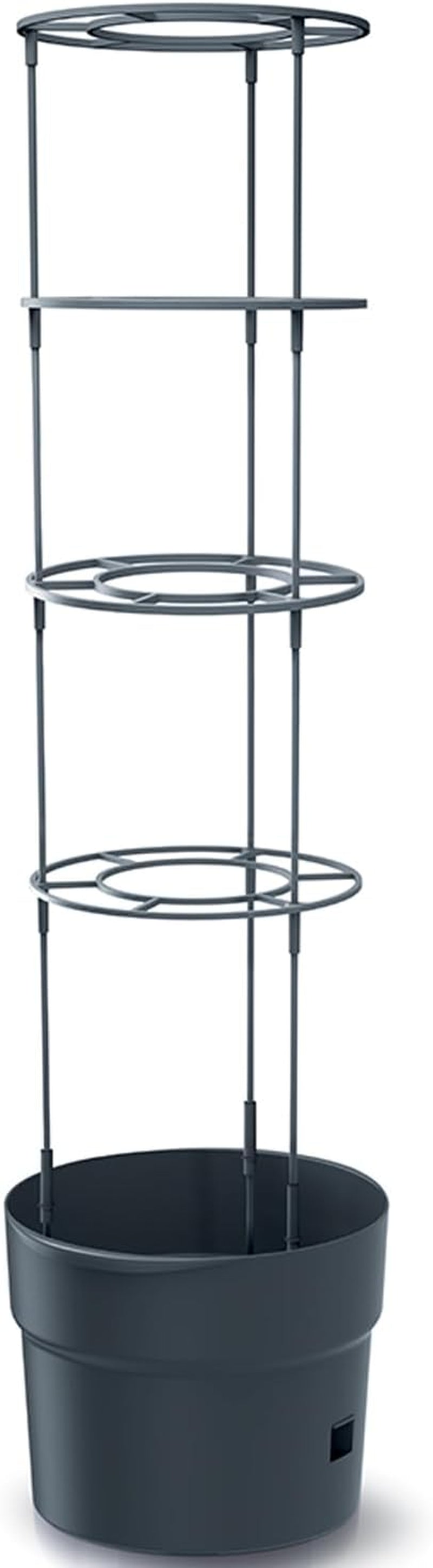Pots de semis de tomates Prosperplast avec treillis – Jardinière en plastique robuste | anthracite | Résistant aux intempéries et aux UV | 29,5 x 115,2 cm | Idéal pour le jardin et la terrasse