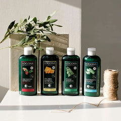 LOGONA Cosmétique Naturelle, Shampoing, formule vegan à la caféine bio, 250 ml Douche et bain Naty Shop