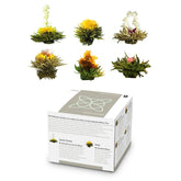 Boîte mixte élégante de 6 pièces Feelino - Fleurs de thé blanc Feelino dans une magnifique boîte de dégustation et cadeau avec 6 roses de thé blanc différentes, emballées individuellement sous vide, paquet de 1 pièce