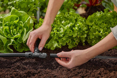 Gardena Système d'irrigation micro-goutte en T 13 mm (1/2") : connecteur pour tuyaux d'alimentation de 13 mm, branche en T, irrigation automatique, réutilisable (13201-20)