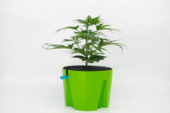 Hydro Farmer, set de pots 19 pièces Ø 18 cm (vert), système de culture comprenant 4 pots, 4 anneaux d'arrosage, 4 couvercles, kit adaptateur et tuyau 2 m, culture hydroponique, aéroponie