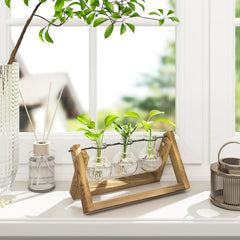 Bamworld Station de propagation hydroponique avec support en bois – 3 vases en verre pour la culture de plantes aquatiques et la décoration de la maison