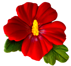 Fleur d'hibiscus comestible – décoration pour gâteaux 9,5 cm artisanale
