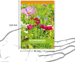 FLORTUS Cadeaux de fête de prairie de fleurs sauvages (100 pièces) | Mélange de graines de fleurs pour abeilles et insectes comme cadeaux de remerciement et cadeaux promotionnels