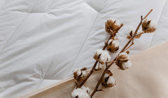 COLAS NORMAND Couette Percale Coton 260 X 240 cm Haute Qualité 100% Percale Coton Doux et Confortable Durable Finition Fine Fabriqué en France Couettes et Couettes Blanc Naty Shop