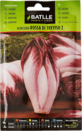 Batlle Gemüsesamen - Chicoree Radicchio Rossa Di Treviso (3200 Samen)