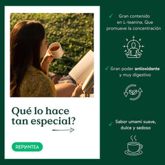 Thé vert japonais Gyokuro biologique (100 g) | Thé en vrac premium | Goût umami raffiné et douceur délicate | REPLANTER