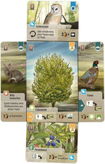 Lookout, Pădure mixtă: Dartmoor, Joc de bază, Joc de familie, Joc de cărți, 2-5 jucători, Vârste 10+, 60 de minute, Germană