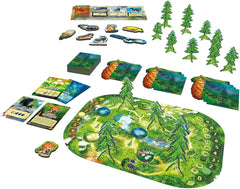 Piatnik 728099 Forêt - Persistant et riche en espèces !