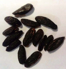 Fèves Tonka entières 100 g - Fèves Tonka de qualité supérieure du Brésil, Fèves Tonka à gratter, Épices de la forêt tropicale, Saveur : Vanille et Amande