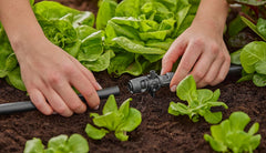 Pièce en T Gardena Micro-Drip-System pour buses de pulvérisation : Connexion entre des tuyaux de 13 mm et une buse de pulvérisation, arrosage automatique des plantes, technologie de connexion simple et rapide, réutilisable (13206-20)