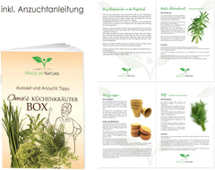 Magic of Nature Oma's Küchenkräuter Box - Anzuchtset - 5 Sorten frische Kräuter Samen - Zum Selberzüchten oder zum Verschenken