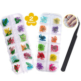 Getrocknete Blüten Nail Sticker, 2 Box 36 Stücke 3D Nail Art Kunstharz Blumen Sticker, Blüten Getrocknet Nagelkunst Trocken Blumen Nagel Zubehör für Nagel Dekor DIY Design avec 1 pince à épiler