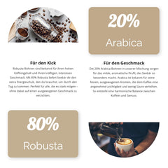 SEEBÄR COFFEE - Grains de café extra forts - 500g - Faible acidité et arôme intense - Grains entiers pour machines à café entièrement automatiques, expresso et presse française - Teneur élevée en caféine et faible acidité