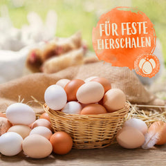 Ida Plus - GoldenEgg 200 ml - Brucheier & Federfressen réduits - Federwachstum & Federkleid - Wichtige Mineralien & Vitamine für Hühner - Beste Eierqualität bei Ihrer Hühnerhaltung