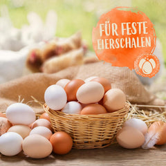 Ida Plus - GoldenEgg 200 ml - vermindert Brucheier & Federfressen - unterstützt Federwachstum & Federkleid - Wichtige Mineralien & Vitamine für Hühner - Beste Eierqualität bei Ihrer Hühnerhaltung