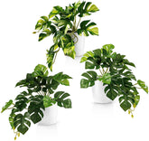 PASCH® 3Er Set Monstera Künstlich (20Cm) in Weißen Keramiktöpfen: Künstliche Pflanzen Wie Echt | Monstera Pflanze Künstlich | Kunstpflanze Hängend Im Topf | Hängepflanze Künstlich Abgestimmt