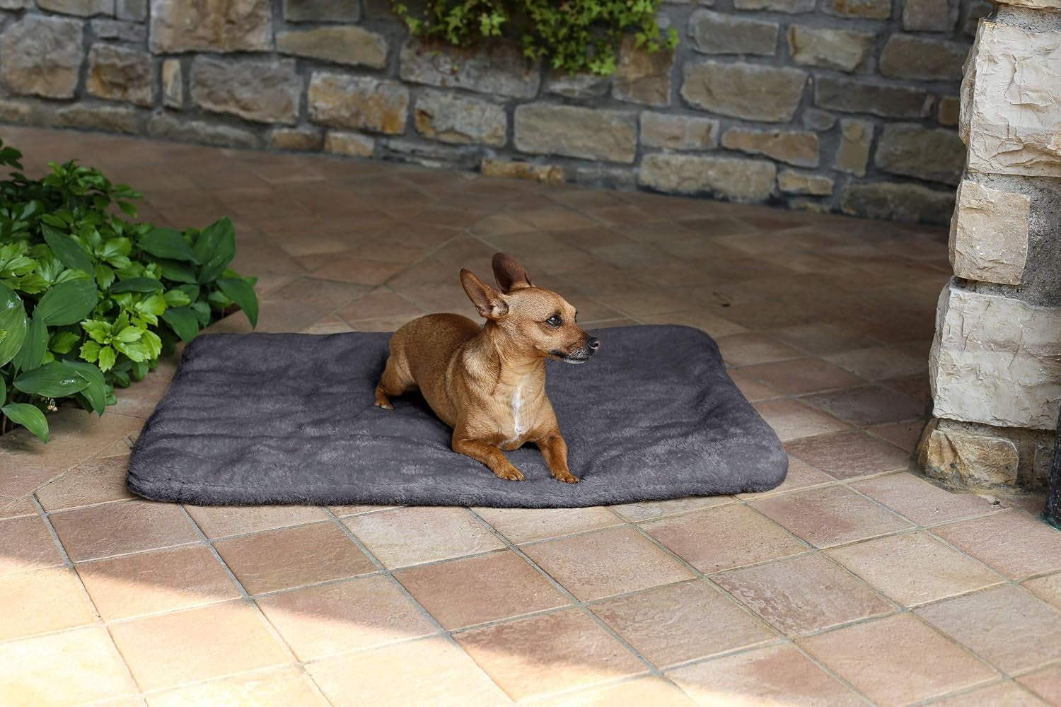 Sogni E Capricci Super Soft Mat, Cream, 104X75CM, Poliester, Plapumi si pilote Naty Shop Gri 62X50Cm