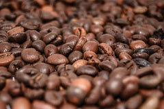 Cafea specială din America de Sud - Galapagos, ecosistemul unic al insulelor (200 de grame, boabe întregi) - cafea de origine unică - cafea premium - aciditate scăzută - prăjită ușor și proaspăt