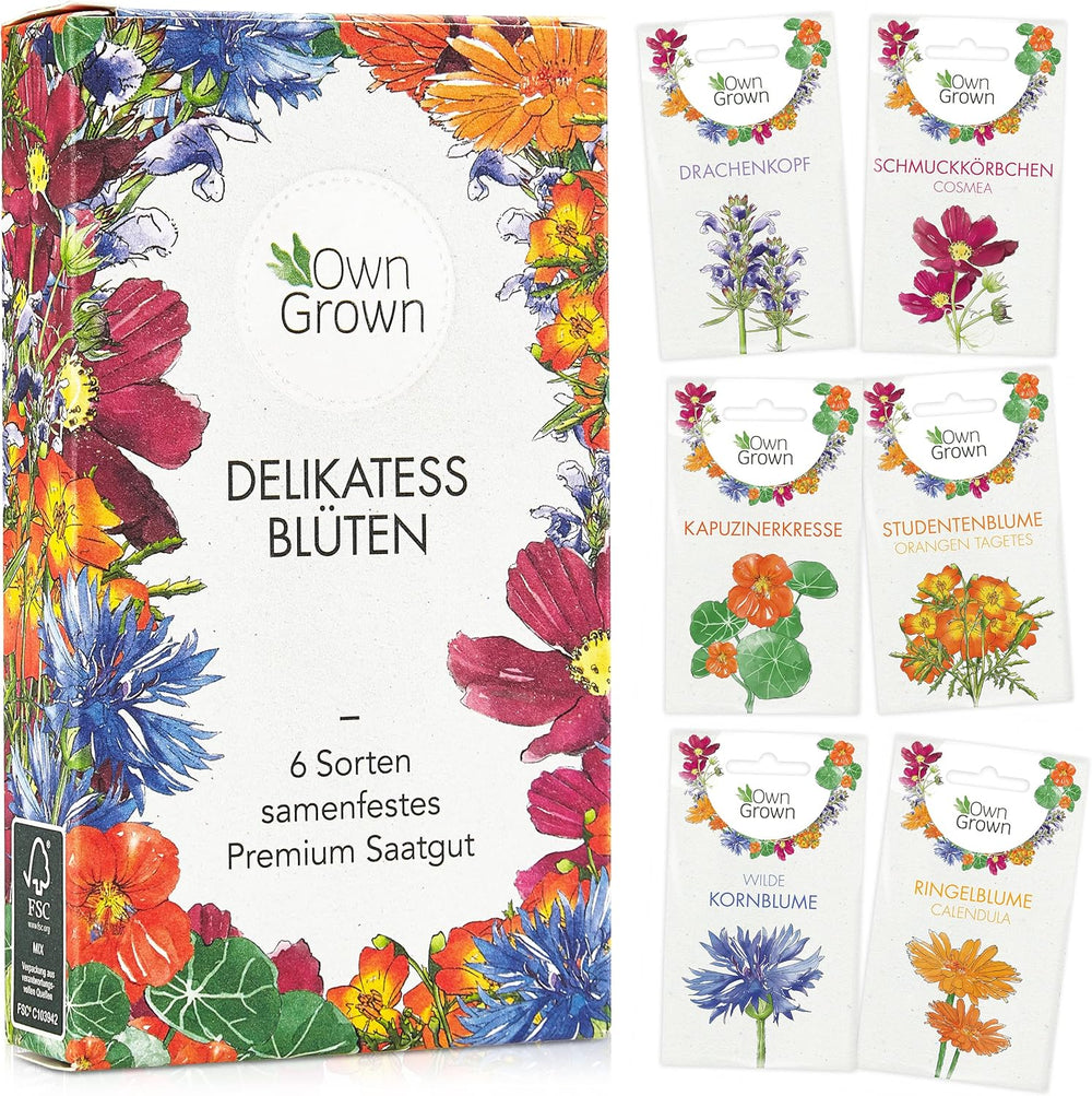 Essbare Blumen Samen Set : Delikatess Blumen Blumensamen Set mit 6 Sorten Blumen Saatgut – Essbare Blumen Samen – Essbare Blumen für Torte – Essbare Blumen Tortendeko – Blumen Essbar von OwnGrown