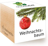 Feel Green Ecocube Weihnachtsbaum/Xmas Tree, Nachhaltige Geschenkidee (100% Eco Friendly), Grow Your Own/Anzuchtset, Pflanzen Im Holzwürfel, Made in Austria