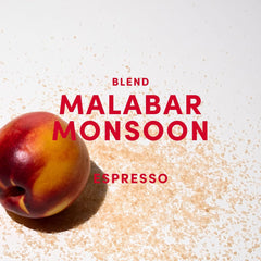 Malabar Monsoon Espresso Blend - 100% Arabica de l'Inde, du Brésil et du Guatemala - säurearm & ausgefungen mit Nektarine, Honig & Haselnuss - ganze Bohnen, torréfaction moyennement foncée - 1kg