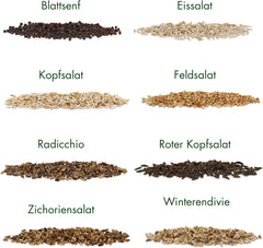 Graines de Laitue : Ensemble de 8 Variétés de Graines de Salade pour le Jardin et le Balcon - Graines de Laitue, Feuille de Moutarde, Mâche (Hardy), Radicchio, Graines d'Endive, Chicorée - Graines de Légumes à Salade de OwnGrown