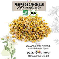 ORIGEENS Thé aux Fleurs de Camomille Bio d'Europe, 100 g | Thé en feuilles, thé biologique pour le sommeil et la digestion | Camomille allemande | Certifié et emballé en Allemagne