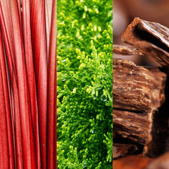 JOOP ! Aller! Gel douche pour homme, au parfum boisé-fruité, 150 ml Douche et bain Naty Shop