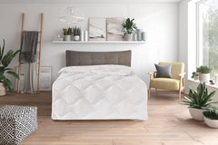 Traumnacht Couette confortable en coton mono pour toutes les saisons, couette de transition idéale avec housse en mélange de coton, 135 x 200 cm, lavable, certifiée Oeko-Tex, fabriquée selon les normes de qualité allemandes Quilts and Quilts Naty Shop 135 x 200 couette moyenne pour toutes les saisons