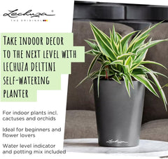 LECHUZA DELTINI blanc brillant 14900