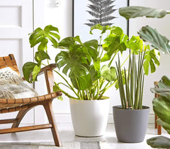 Dehner Mila pot de fleur avec système d'arrosage automatique, Ø 30 cm, hauteur 26 cm, plastique, blanc