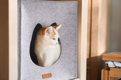 Couvertures et meubles, Animaux, Grottes et maisons, Chats, Lits pour chats, Chats - lits, matelas