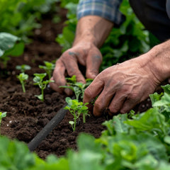 Tuyau d'arrosage Relaxdays 25 m, tuyau d'arrosage pour arrosage des couches hautes et des haies, tuyau d'arrosage noir