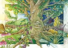 Plante legendare de mătrăgună - Set de semințe cu 5 plante magice