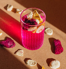 Fruits lyophilisés BRIX | Mélange naturel et sec de fruits tropicaux 80 g | Grand Prix du Goût pour les Fruits Secs | Sans OGM, sans gluten, végétalien, les vitamines sont préservées Produits déshydratés Naty Shop