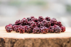 Mûres sauvages BRIX | Mûres sauvages naturelles, séchées 95 g | Prix du Grand Goût pour les Baies Séchées | Sans OGM, sans gluten, végétalien, vitamines retenues Naty Shop Produits déshydratés