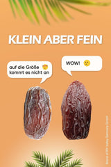 NABALI FAIRKOST POUR TOUS Medjoul - Medjool Dattes Choix I - 100% naturel aromatique frais oriental doux I sucré comme le miel et caramélisé I Origine : Palestine I (1x1KG) Produits déshydratés Naty Shop