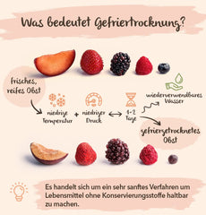 Figues lyophilisées BRIX | Figues séchées au naturel 95 g | Great Taste Award pour les fruits secs, séchés | Sans OGM, sans gluten, végétalien, vitamines retenues Naty Shop Produits déshydratés