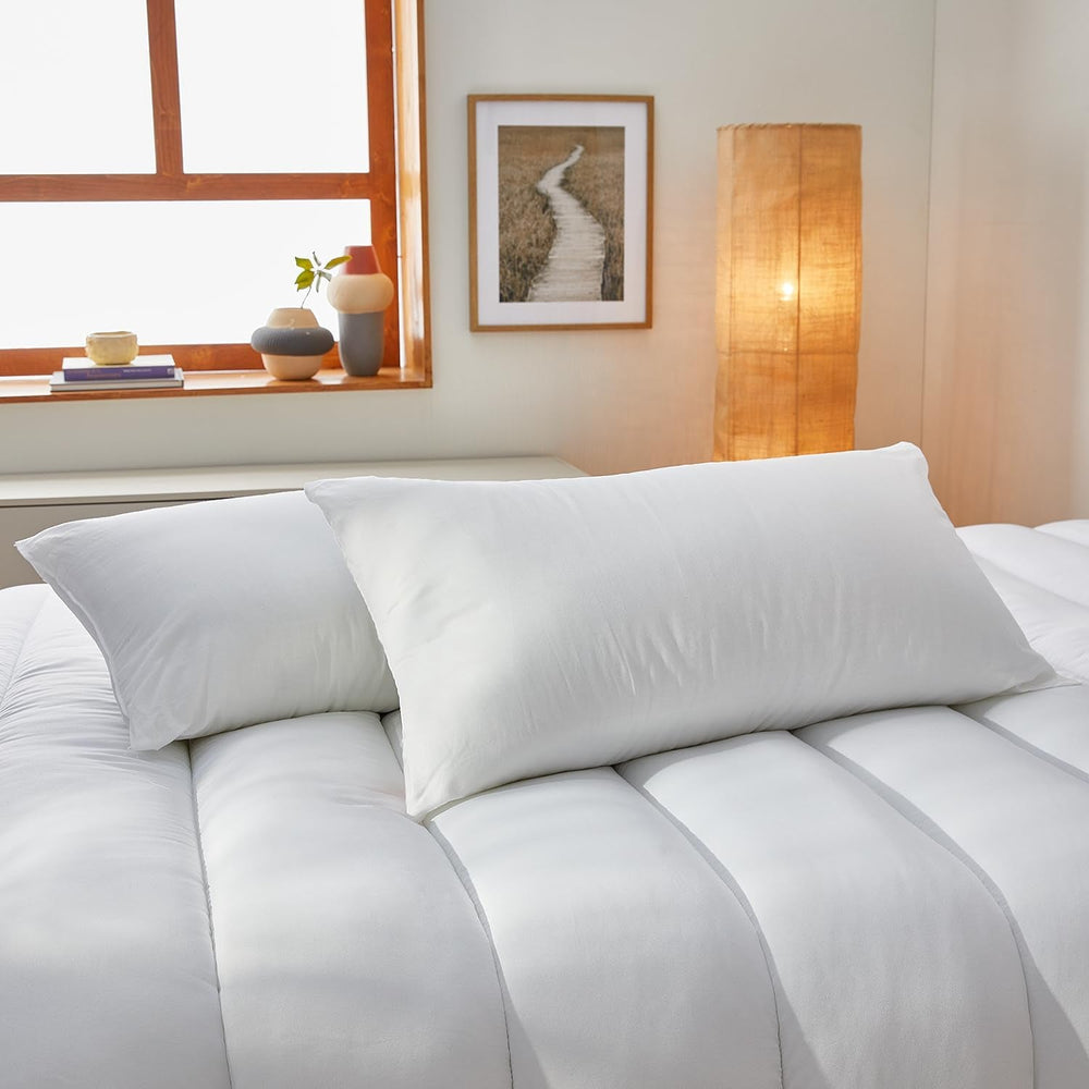 Pikolin Home Lot de 2 oreillers en fibres hypoallergéniques Housse extérieure en coton anti-acariens - Fermeté réduite pour le dormeur inférieur 60 cm 60 X 40 cm Naty Shop Oreillers standard