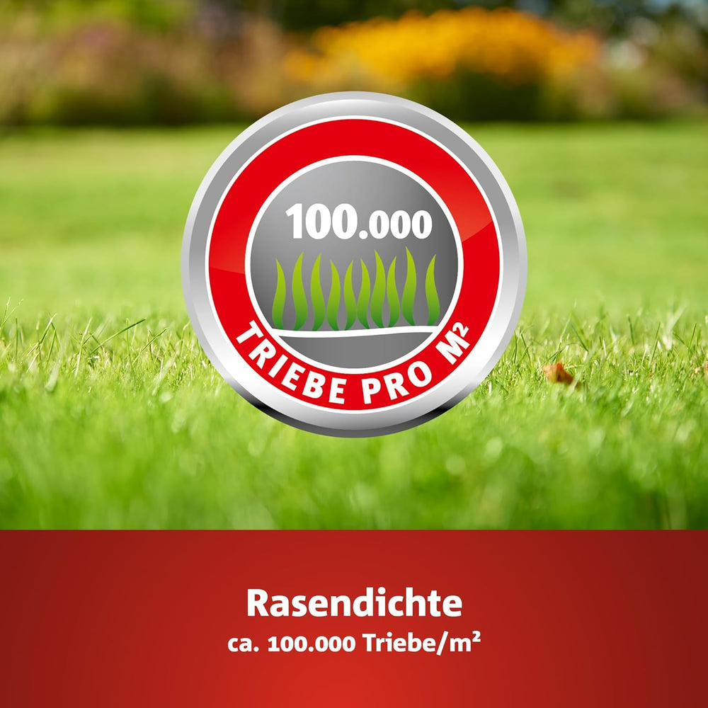 Wolf-Garten Turbo-Nachsaat „SCHATTEN“ Zur Rasensanierung LR-S 50 (Für 50 M², Hohe Dichte Mit Ca. 100.000 Trieben/M², Speziell Auf Schattige Lagen, Mit Wolf-Garten Keimgarantie, Im 1Kg Karton) 3826636