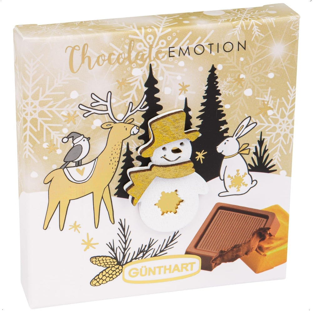 Günthart 16 morceaux de chocolat cadeau d'hiver avec divers motifs, 608 grammes Bonbons au chocolat Naty Shop