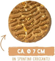 Pièces de monnaie Muesli de Sammy | Collations croustillantes au four pour chiens | 5 pièces de muesli aux céréales pour votre grand ami à quatre pattes (30 kg+) | 1kg