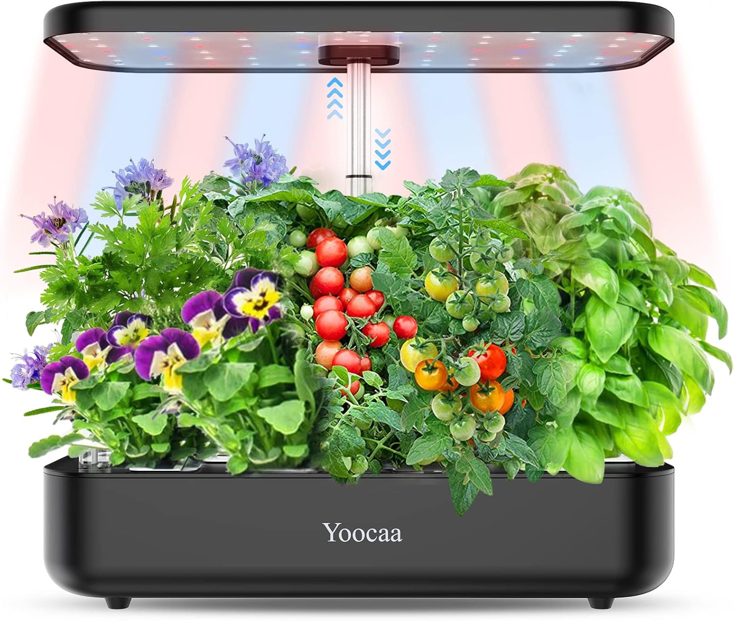 Système de culture hydroponique à 12 ustensiles, ensemble de jardin d'herbes aromatiques d'intérieur avec lumière LED, jardin intelligent, cuisine, kit de germination avec minuterie automatique (gris)